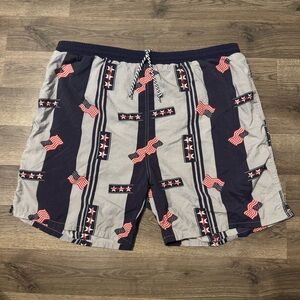VINTAGE Walt Disney World Mens Large Lined Swim Trunks Patriotic USA Flag Design